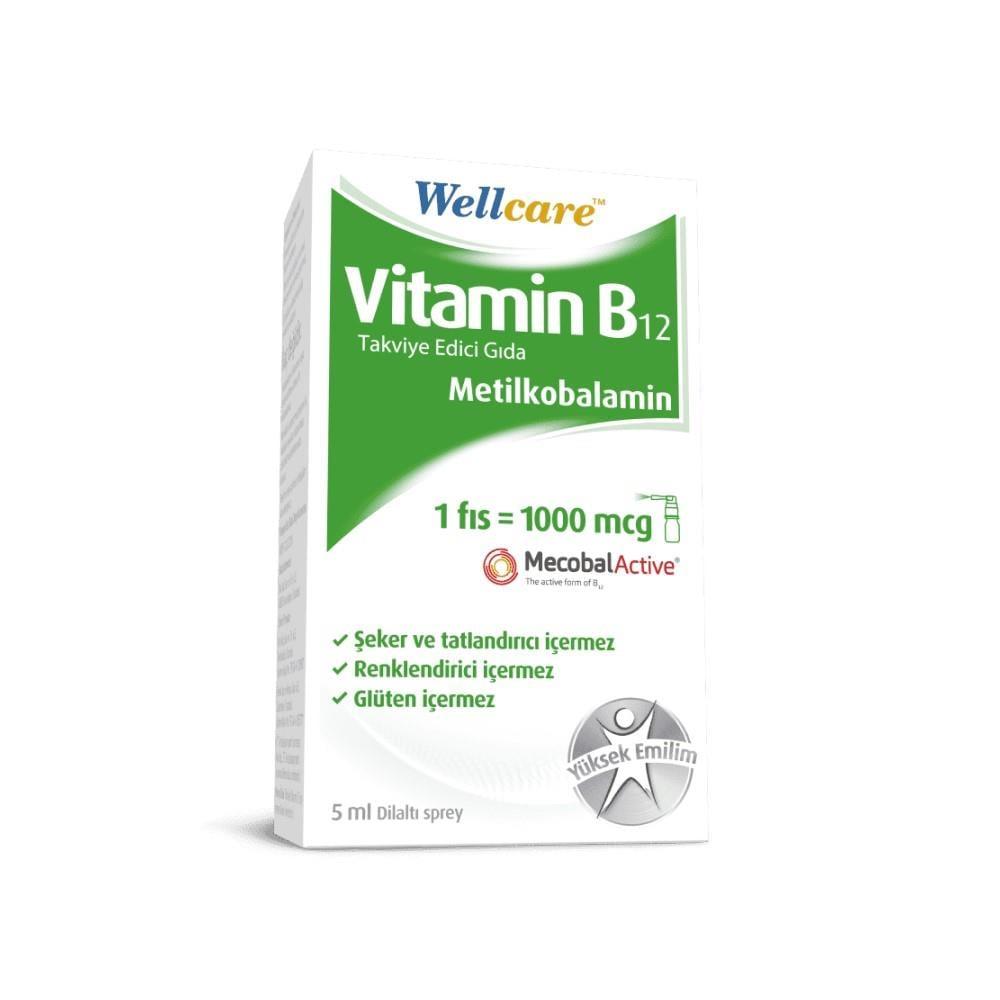 Wellcare Vitamin B12 Supplement - Methylcobalamin Energy Support 5ml