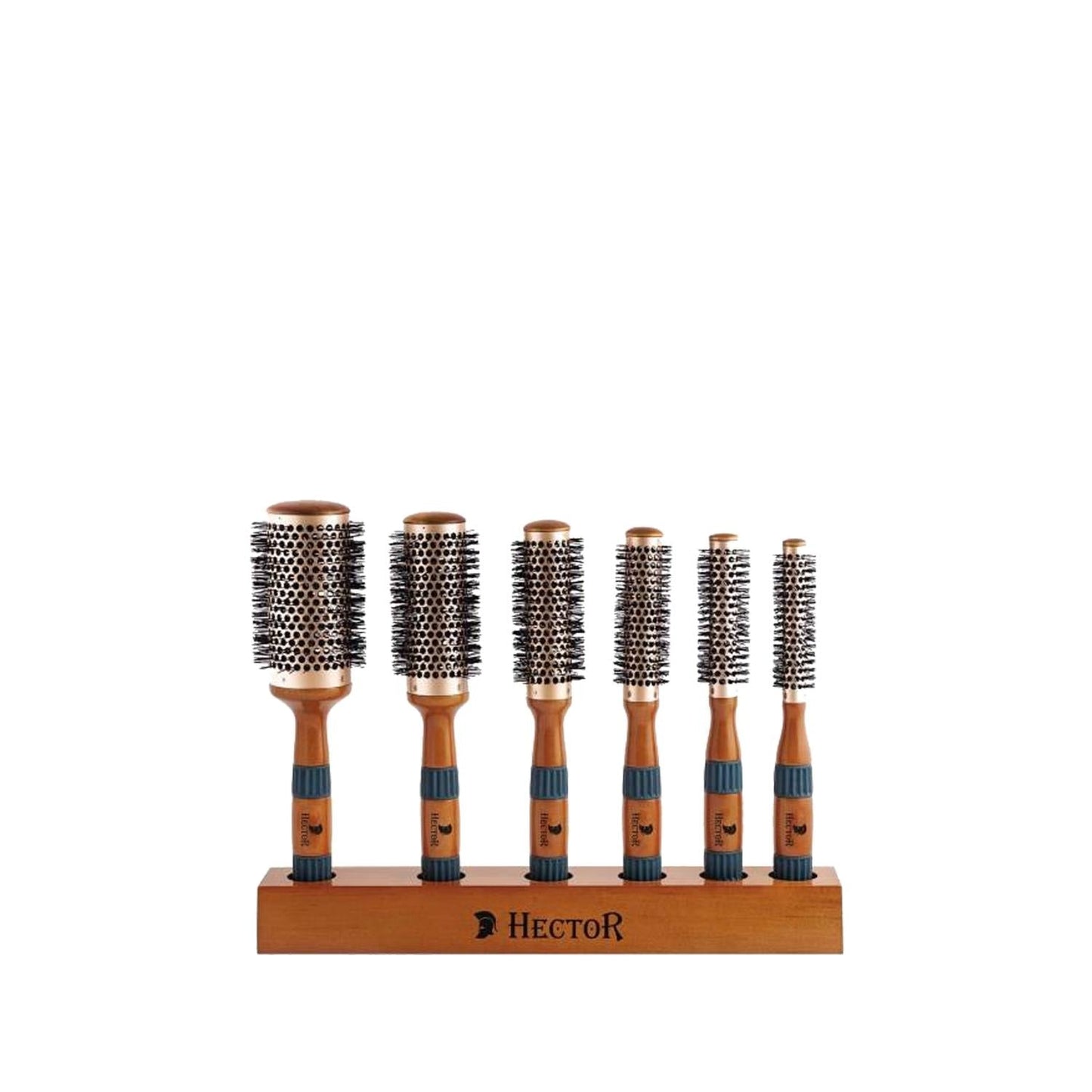 Hector Hair Brush Set - 6 Piece Vent Design for Detangling and Styling