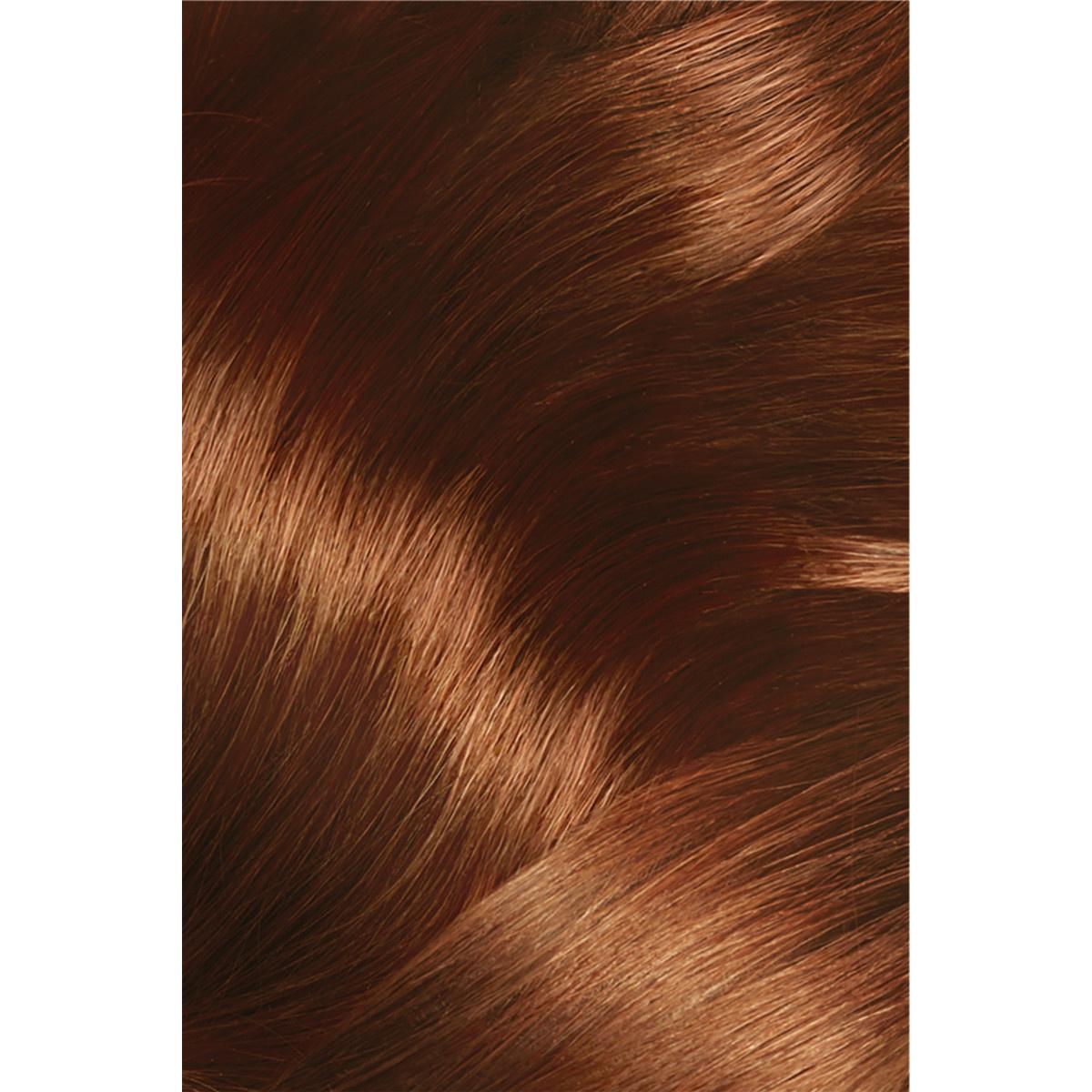L'Oreal Paris Excellence Creme Hair Dye - 6.41 Hazelnut Brown: 100% Grey Coverage, Long Lasting Color & Pro-Keratin Protection