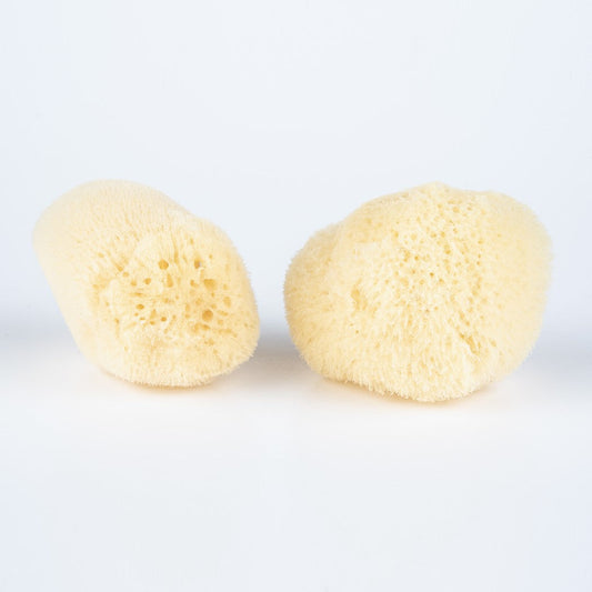 Sea Sponge - All Natural - M2G