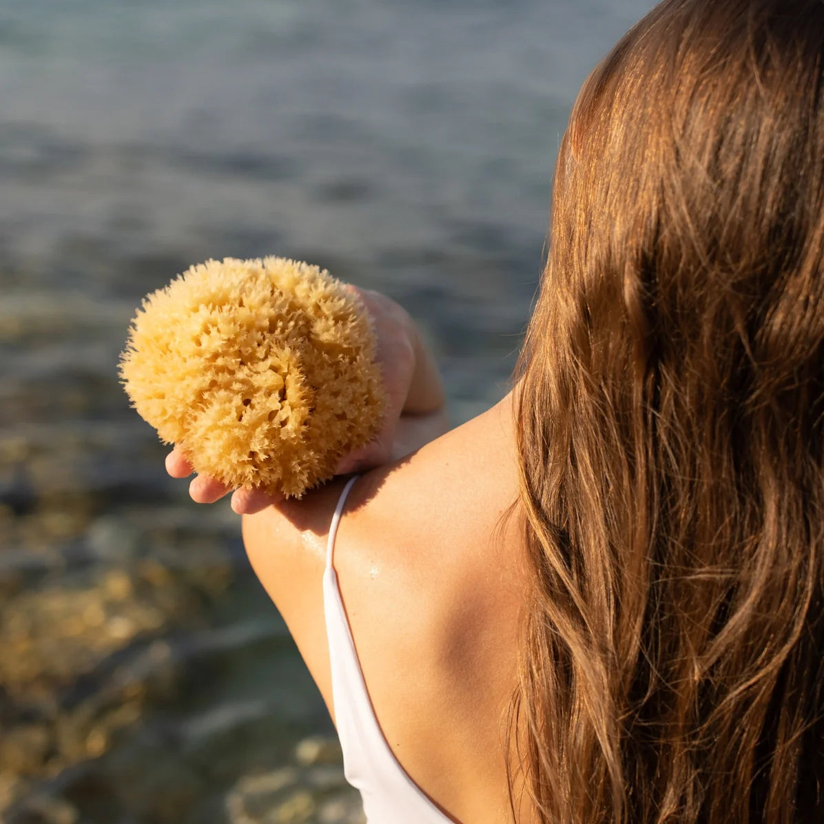 Sea Sponge - All Natural - M2G