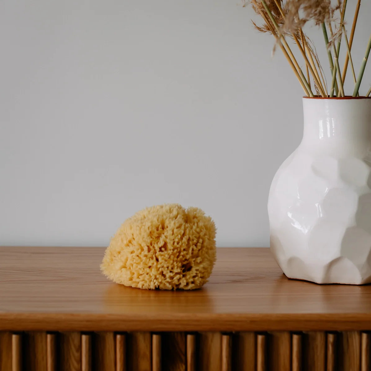 Sea Sponge - All Natural - M2G