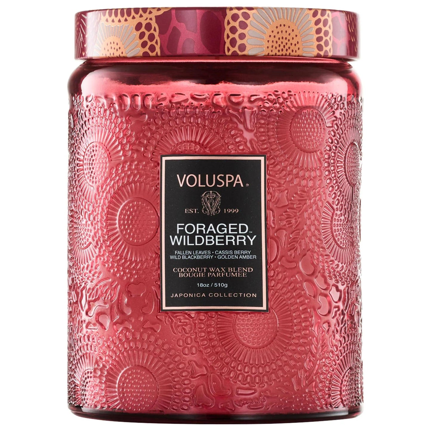 Japonica Foraged Wildberry Large Jar Candle - 100 Hour Burn Time, Fresh Citrus & Fruits Fragrance