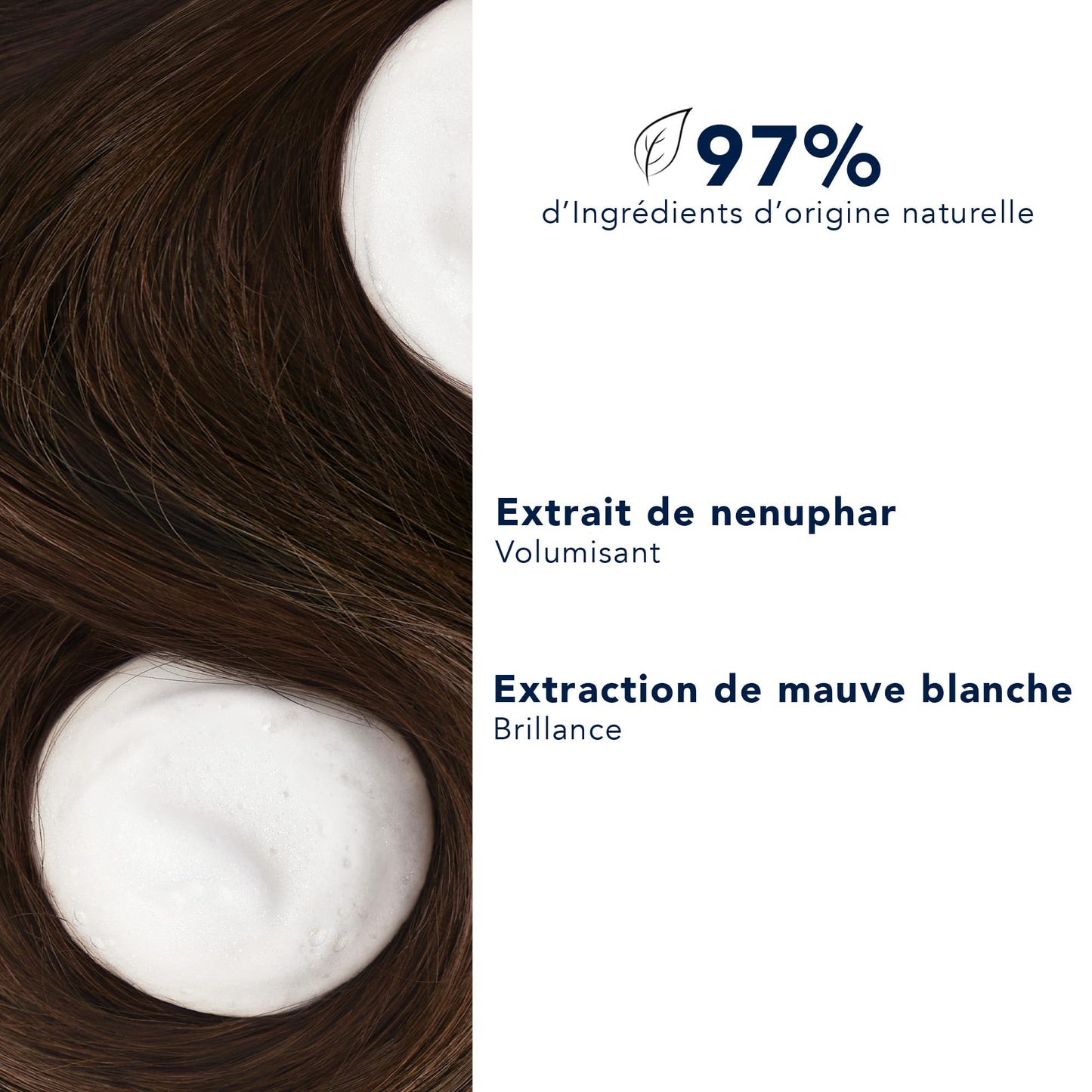 Phyto Volumizing Conditioner - Sulfate-Free, Silicone-Free, Vegan Hair Care for Fine Hair