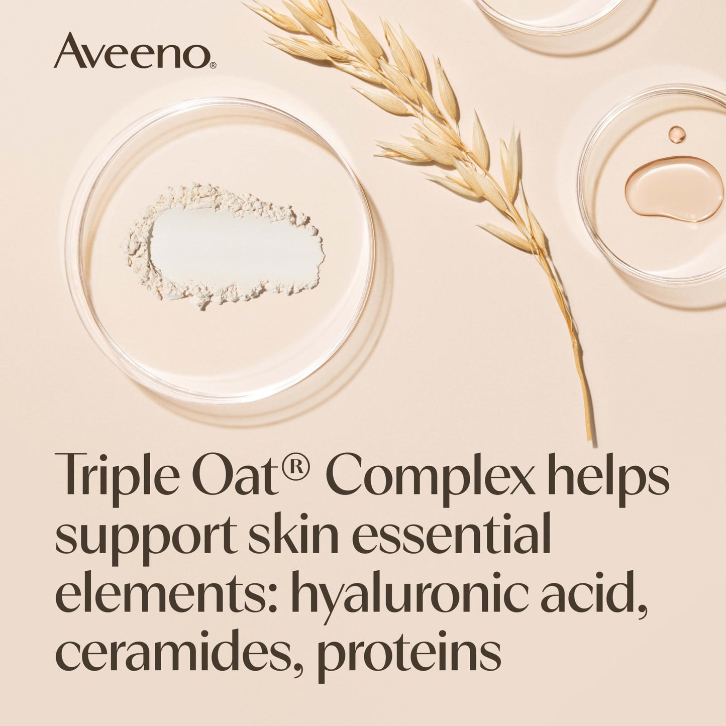 Aveeno Sulfate-Free Moisturizing Body Wash Oil for Dry and Sensitive Skin - 10.14 fl oz
