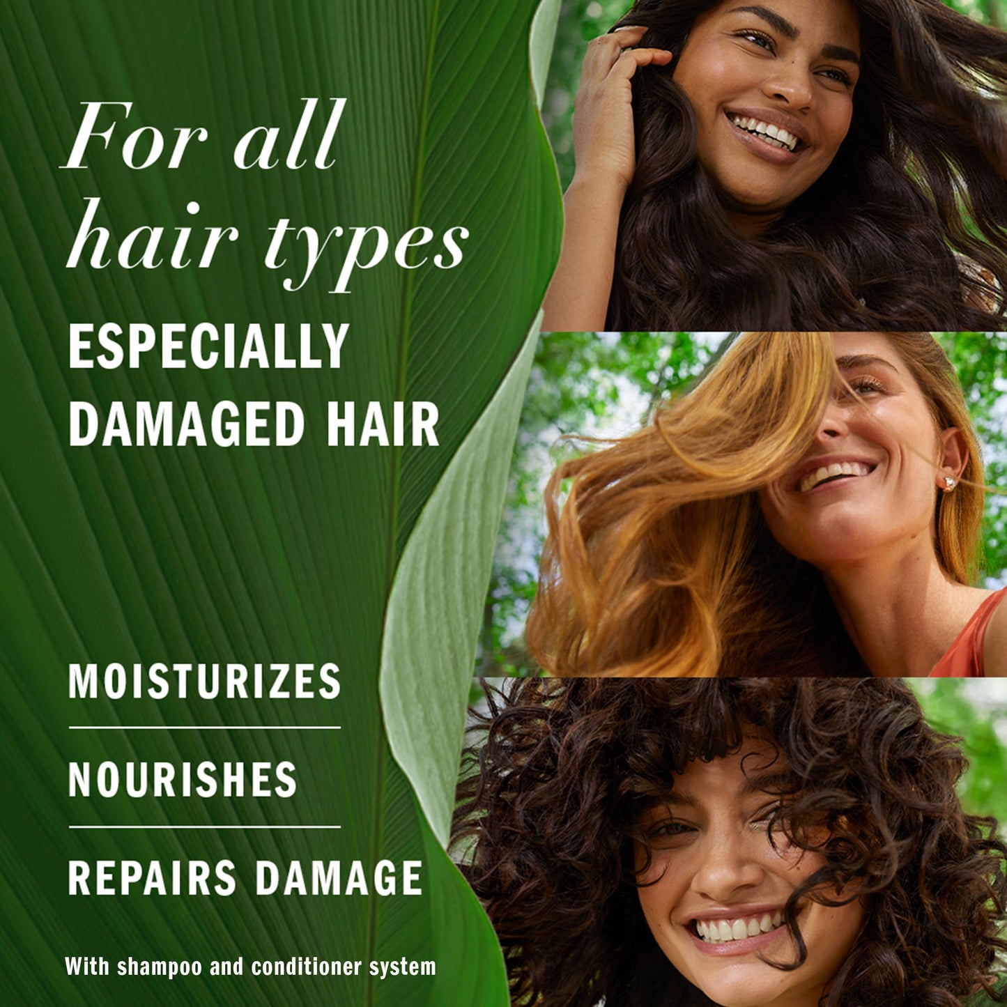 Herbal Essences Repairing Argan Oil Hair Conditioner 8.5oz | Moisturizing Formula