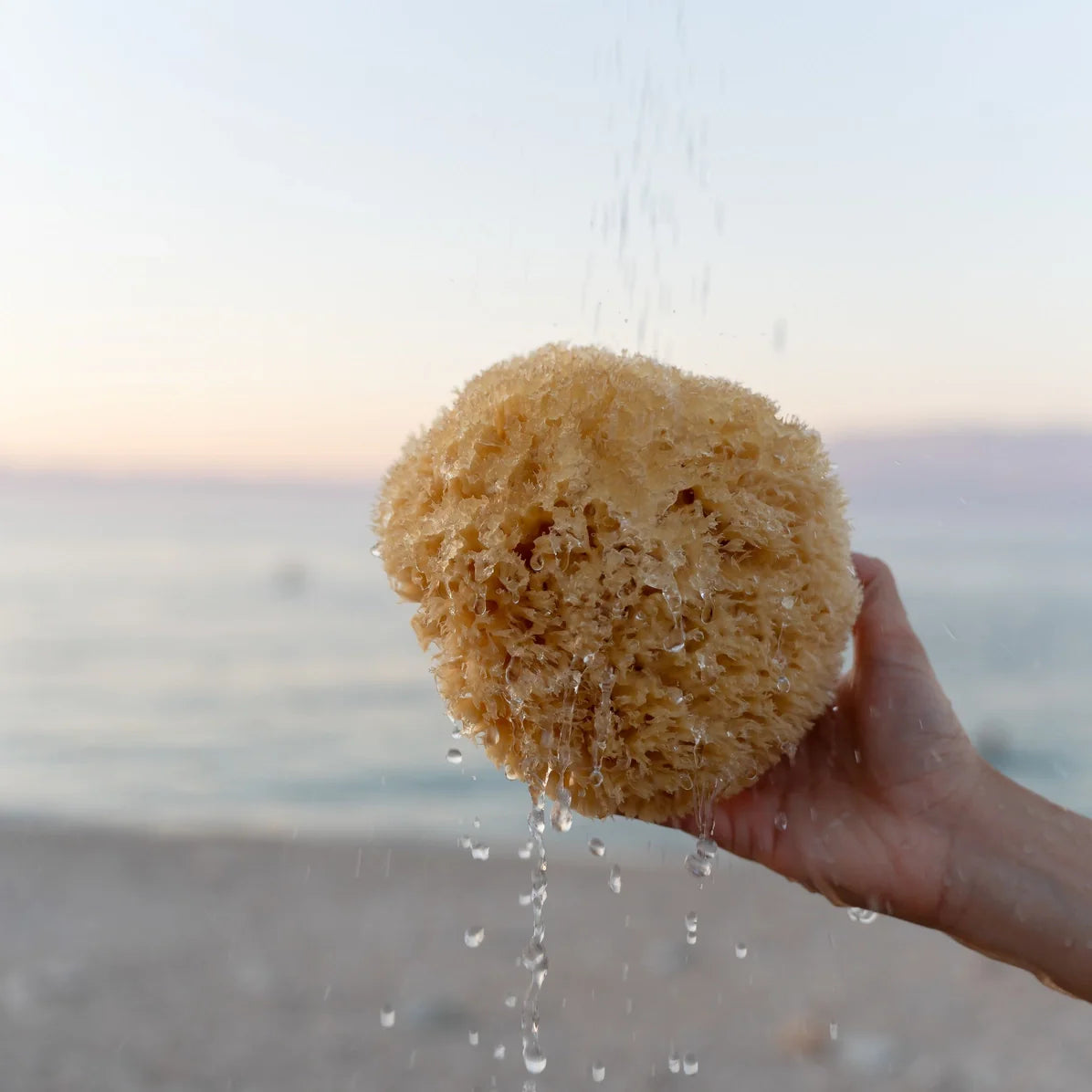 Sea Sponge - All Natural - M2G