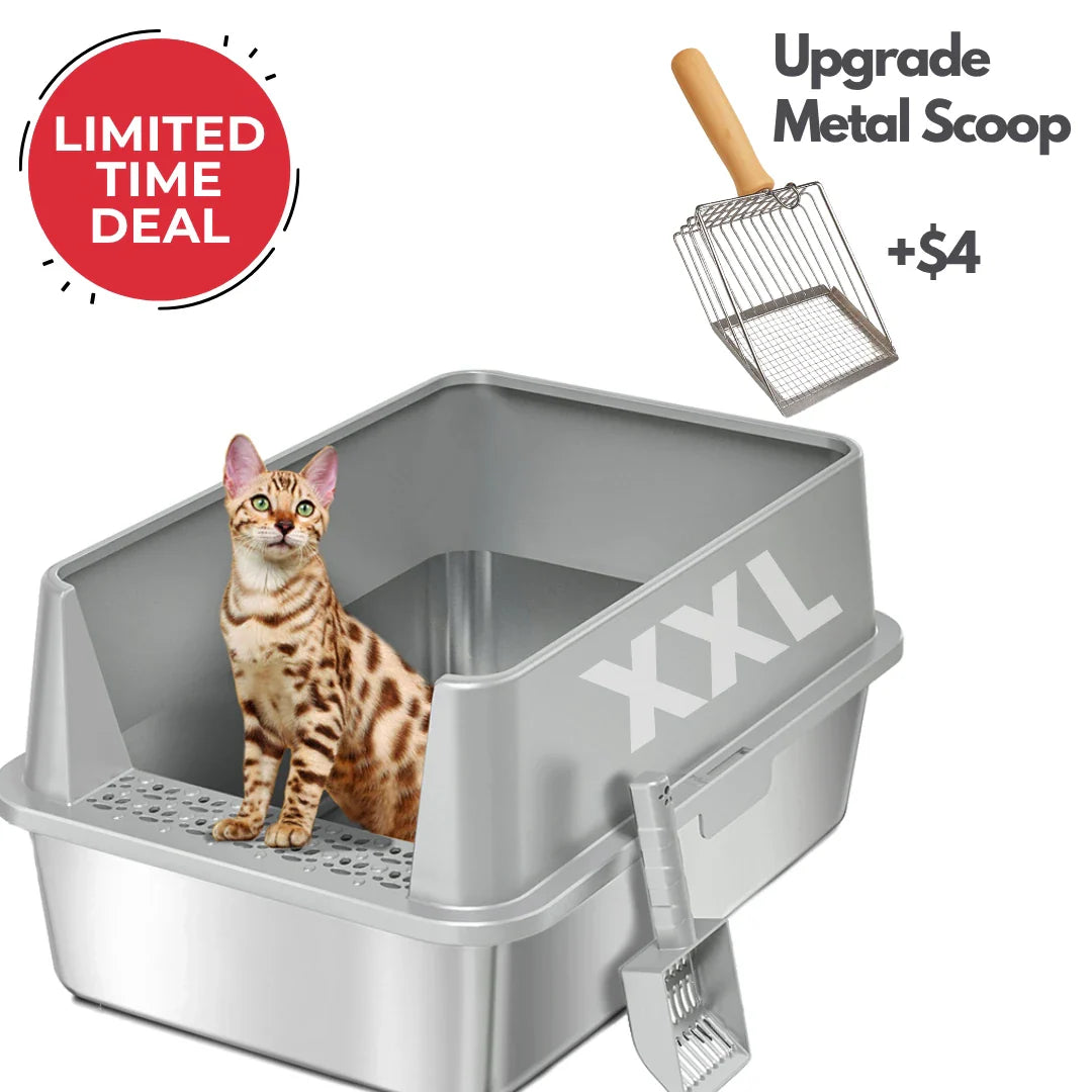 XXL Stainless Steel Cat Litter Box with Lid – High Sides, Low Entry, Easy to Clean, Odor-Free, Anti-Leak | Buy 2 & Save $10