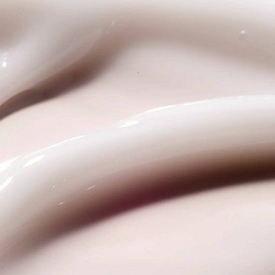 The Face Shop Rice Water Bright Vegan Cream 1.69 fl oz - New - M2G