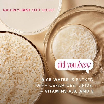 The Face Shop Rice Water Bright Vegan Cream 1.69 fl oz - New - M2G