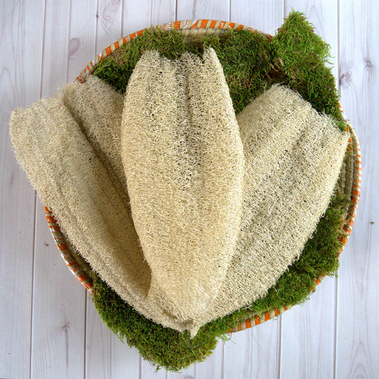 Ugandan Exfoliator Natural Loofah (Ekyangwe) - M2G