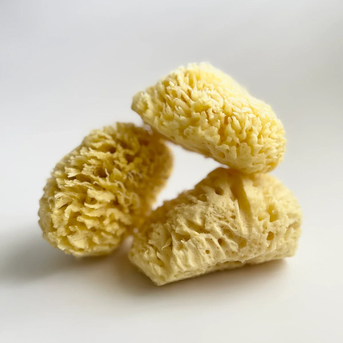 Sea Sponge - All Natural - M2G