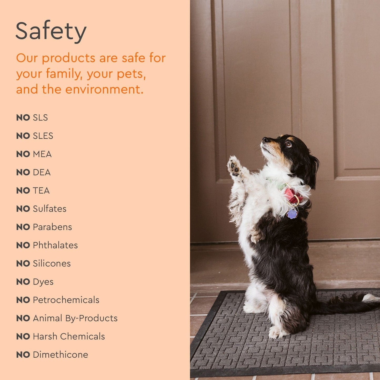 Pet Stain & Odor Remover - M2G