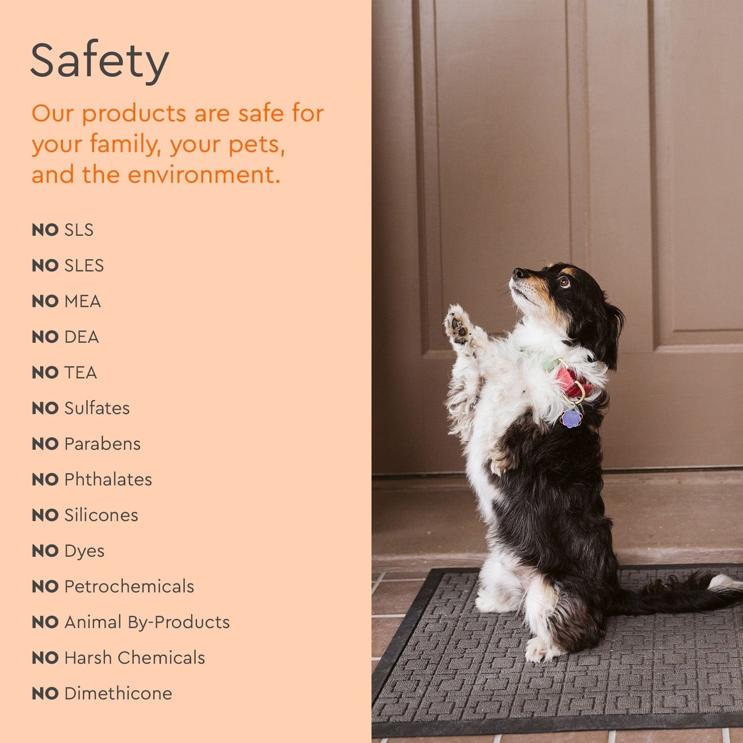 Pet Stain & Odor Remover - M2G