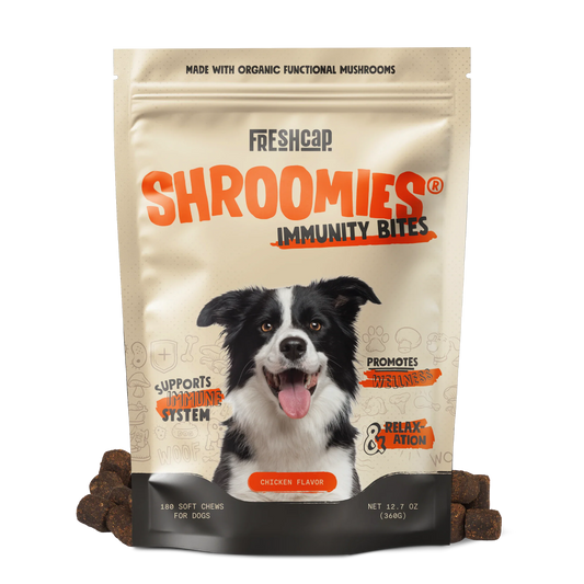 Organic Mushroom Complex for Dogs